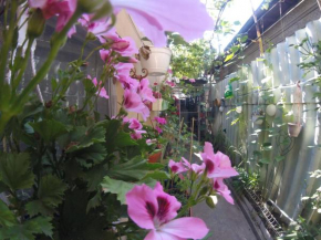 CASA MILLY